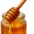 العسل